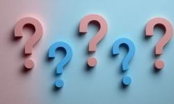 Featured image of post Mindful Curiosity